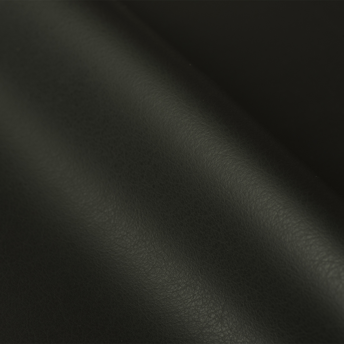 CAPRA NOVA AW07