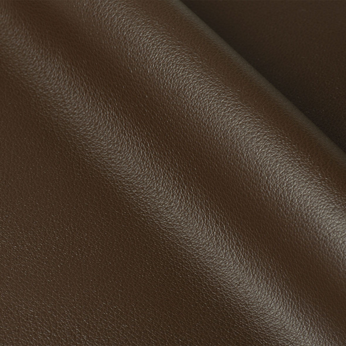 DIANA B306