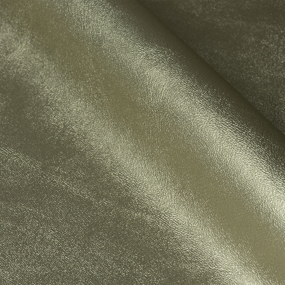 TALUS AW160